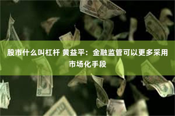 股市什么叫杠杆 黄益平：金融监管可以更多采用市场化手段