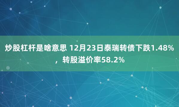 炒股杠杆是啥意思 12月23日泰瑞转债下跌1.48%，转股溢价率58.2%