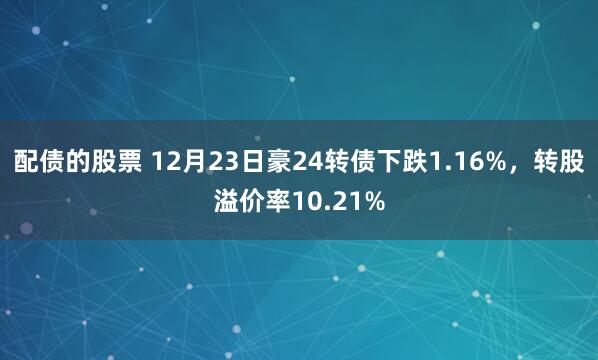 配债的股票 12月23日豪24转债下跌1.16%，转股溢价率10.21%