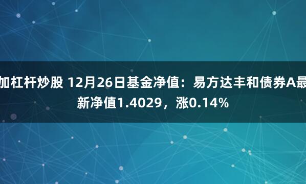 加杠杆炒股 12月26日基金净值：易方达丰和债券A最新净值1.4029，涨0.14%