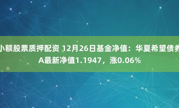 小额股票质押配资 12月26日基金净值：华夏希望债券A最新净值1.1947，涨0.06%