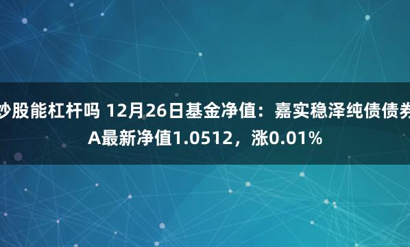 炒股能杠杆吗 12月26日基金净值：嘉实稳泽纯债债券A最新净值1.0512，涨0.01%