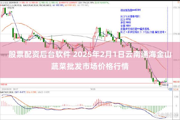 股票配资后台软件 2025年2月1日云南通海金山蔬菜批发市场价格行情