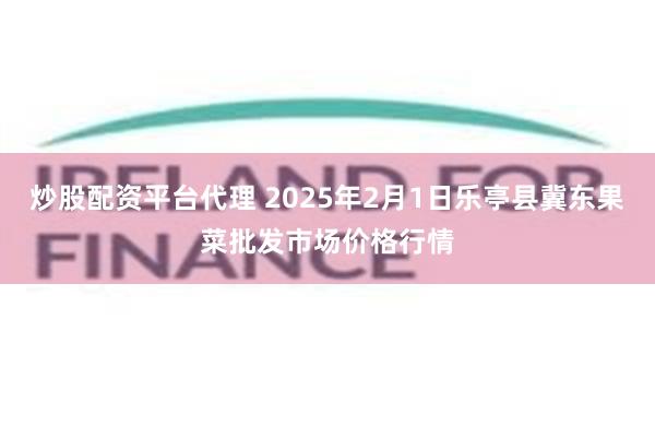 炒股配资平台代理 2025年2月1日乐亭县冀东果菜批发市场价格行情